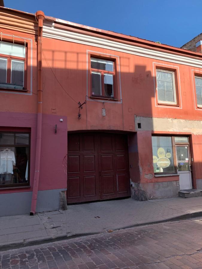 Old Studio Apartment Вильнюс Экстерьер фото